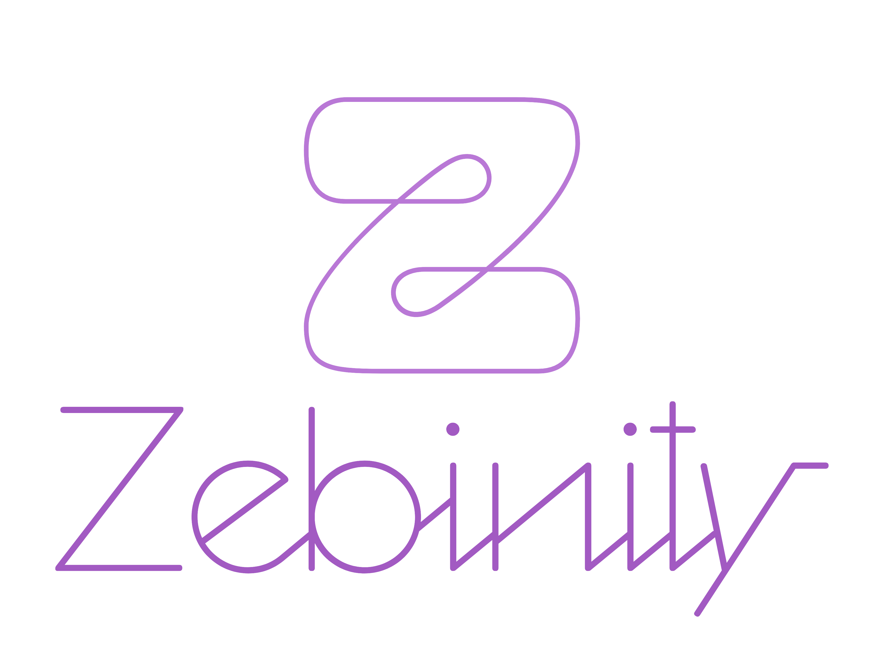 Zebinity logo